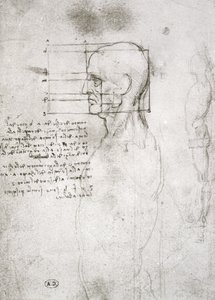 Profildeki Yaşlı Bir Adamın Başkanı, faks kopyası (kağıt üzerine kalem ve mürekkep) by Leonardo da Vinci
