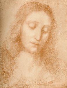 Kurtarıcının Başkanı, 15. yüzyıl, 1932 by Leonardo da Vinci