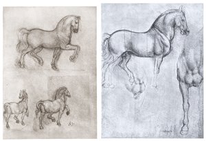 Atlar, c1490-1510 by Leonardo da Vinci