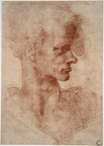 Leonardo da Vinci (Leonardo da Vinci) (1452 - 1519): Genç bir adamın karikatür portresi (Hayal edin) by Leonardo da Vinci