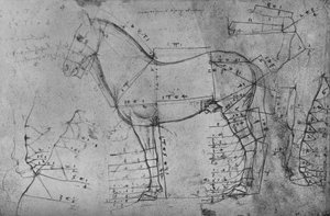 Sol Profildeki Bir Atın Ölçülü Çizimi, c1480 1945 by Leonardo da Vinci