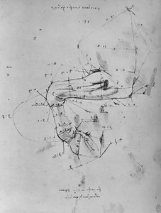 Bir Atın Yakın Ön Bacağının Ölçülü Çizimi, c1480 1945 by Leonardo da Vinci