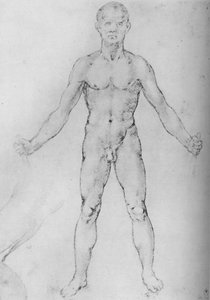 Çıplak Adam Kollarını Uzatmış, Önden Görünüş, c1480 1945