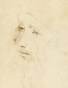 Leonardo da Vinci'nin portresi, yaklaşık 1518. by Leonardo da Vinci,