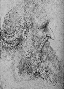 Sağdaki Yaşlı, Sakallı Bir Adamın Profili, c1480 1945 by Leonardo da Vinci