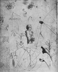Yaşlı Bir Adamın Profili, Bitkiler, Geometrik Figürler, Vb., c1480 1945 by Leonardo da Vinci