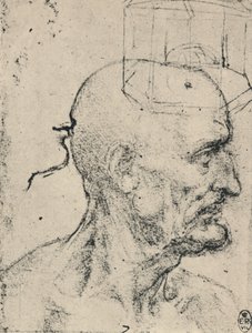 Kel Bir Adamın Sağındaki Profil, c1480 1945 by Leonardo da Vinci