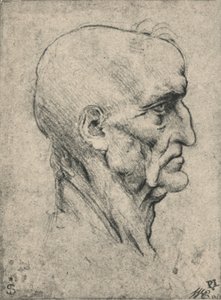 Yaşlı Bir Kel Adamın Sağındaki Profil, c1480 1945 by Leonardo da Vinci