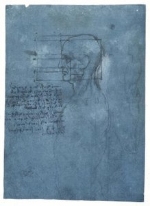 Profildeki bir erkek kafasının orantı çalışması by Leonardo da Vinci