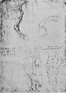 Atların Ön Bacakları ve At Kafalarının Ölçülü Çizimleri Çalışmaları, c1480 1945 by Leonardo da Vinci