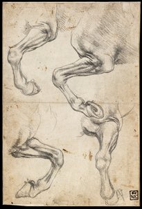 At Bacak Çalışmaları by Leonardo da Vinci