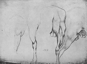 At Bacakları Çalışmaları, c1480 1945 by Leonardo da Vinci
