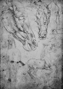 Atlar ve At Kafaları Çalışmaları, c1480 1945 by Leonardo da Vinci