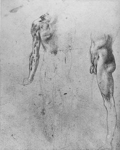 Arkadan ve Yandan Görülen Çıplak Bir Adamın Çalışmaları, c1480 1945 by Leonardo da Vinci