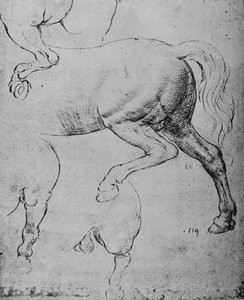 Bir Atın Arka Bacakları ve Arka Bacakları Üzerine Çalışmalar, c1480 1945 by Leonardo da Vinci