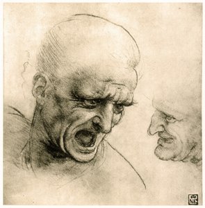 Bir savaşçının kafası için çalışma by Leonardo da Vinci