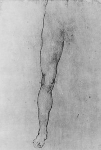 Öne bakan çıplak bir adamın Alt Yarısının İncelenmesi, c1480 1945 by Leonardo da Vinci