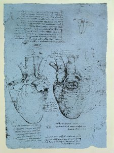 Kalp, Windsor kitabının tıpkıbasımı (kağıt üzerine kalem ve mürekkep) by Leonardo da Vinci