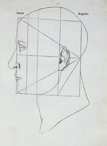 İnsan Kafası, Luca Pacioli (1445-1517), 1509 tarafından 
