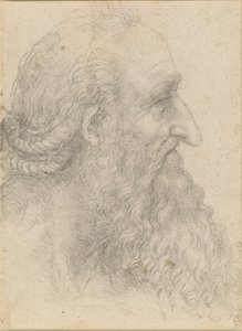 Yaşlı sakallı bir adamın başı, yaklaşık 1517. by Leonardo da Vinci