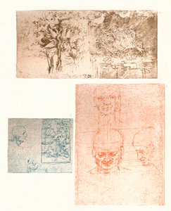 Üç çizim, c1472-c1519 1883 by Leonardo da Vinci