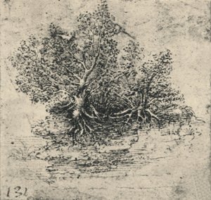 Bir Çayın Kıyısında İki Ağaç, c1480 1945 by Leonardo da Vinci
