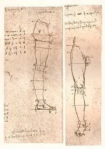 İnsan figürünün oranları teorisini gösteren iki çizim, c1472-c1519 1883 by Leonardo da Vinci