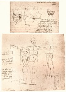 İnsan figürünün oranları teorisini gösteren iki çizim, c1472-c1519 1883. by Leonardo da Vinci