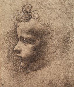 Küçük bir çocuğun başı; Leonardo da Vinci