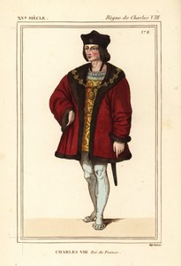 Fransa Kralı VIII.Charles, Dost canlısı