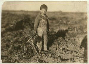 6 yaşındaki Jo, Colorado, Sterling yakınlarındaki bir çiftlikte şeker pancarı çekiyor, 1915 by Lewis Wickes Hine