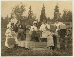 Children carrying their pecks of cranberries to the bushel man at Theodore Budd