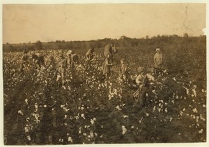 McKinney, Teksas yakınlarında pamuk toplayan aile, 1913 by Lewis Wickes Hine