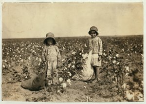 Jewel and Harold Walker, 6 and 5 years old, pick 20 to 25 pounds of cotton a day at Geronimo,Comanche County Oklahoma, 1916  by Lewis Wickes Hine