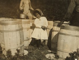 Mary Christmas, sadece 3, varillere dökülen kızılcıkları toplamak için büyükbabası tarafından yapıldı, Week