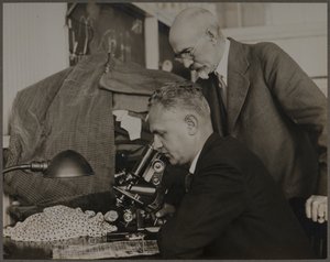 Araştırma by Lewis Wickes Hine