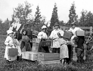 Bilinmeyen resim by Lewis Wickes Hine