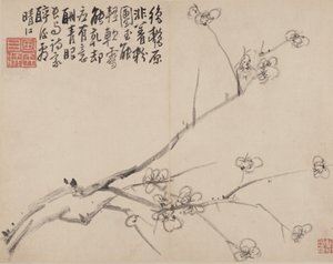 Blossoming Plum albümü, 1742. by Li Fangying