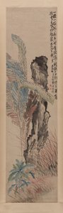 Bir Bahçe Kayası Tarafından Muz Bitkisi by Li Shan