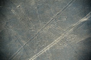 Köpek, Nazca çizgileri, Nazca, Peru, Nazca Uygarlığı (fotoğraf) by Unbekannt Unbekannt