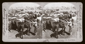 Boer Savaşı (Güney Afrika by Unbekannt Unbekannt