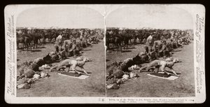 Boer Savaşı (Güney Afrika by Unbekannt Unbekannt