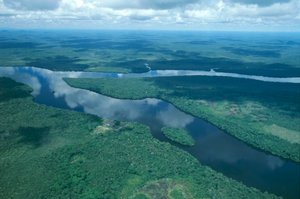 Venezuela, Guayana, Amazonas Eyaleti, Orinoco Nehri, havadan görünüm (Fotoğraf) by Unbekannt Unbekannt