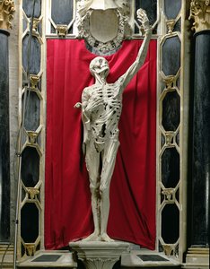 Flayed veya The Skeleton, Orange Prensi Rene de Chalon