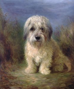 Dandie Dinmont Teriyer (tuval üzerine yağlı boya)