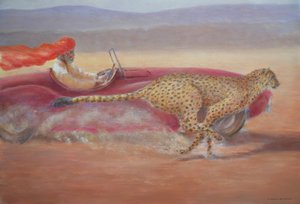 Çita, Jaguar