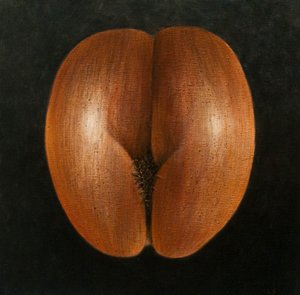 Coco de Mer, 2010 (tuval üzerine akrilik)