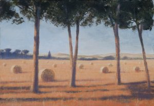 Saman Balyaları ve Çamlar, Pienza, 2012 (tuval üzerine akrilik) by Lincoln Seligman