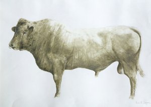 Islay Bull, 2004 (tuval üzerine akrilik)