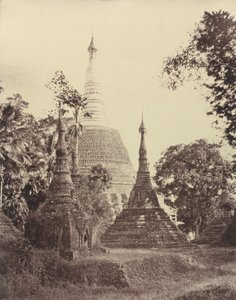 Rangoon: Shwe Dagon Pagoda